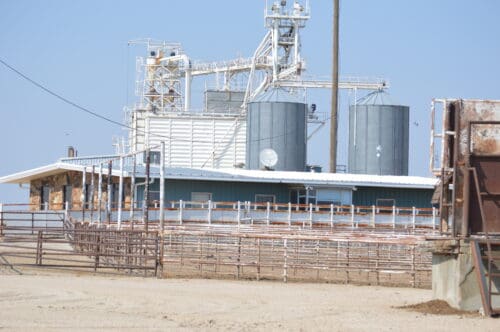 Front Range Cattle Company Colorado