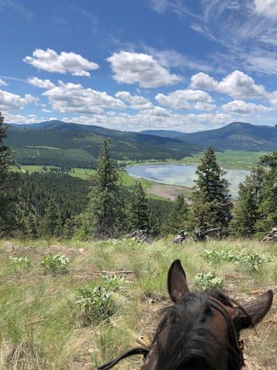 Entry-level Wrangler / Ranch Hand needed near Kalispell, Montana ~ Summer  2023 