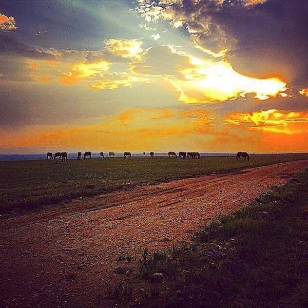 Dunmire Ranch Company - Wyoming