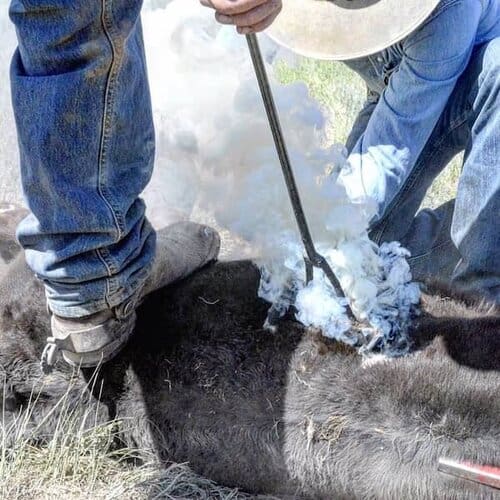 Dunmire Ranch Company - Wyoming