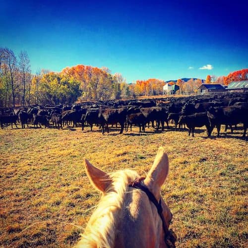 Dunmire Ranch Company - Wyoming