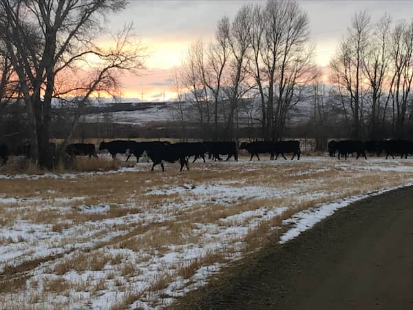 Dunmire Ranch Company - Wyoming