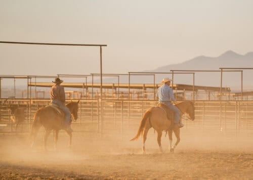 Vera Earl Ranch Sonoita