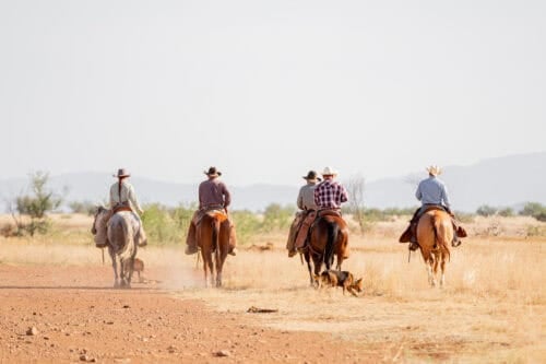 Vera Earl Ranch Sonoita