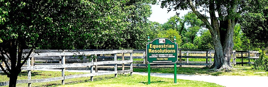 Equestrian Resolutions