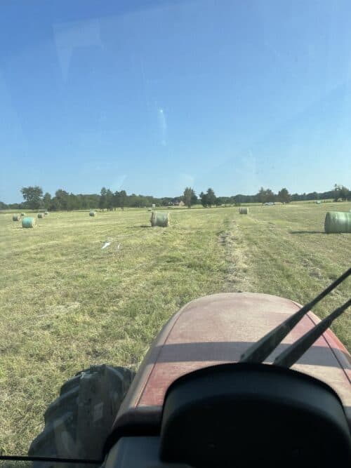 Texas Ranch