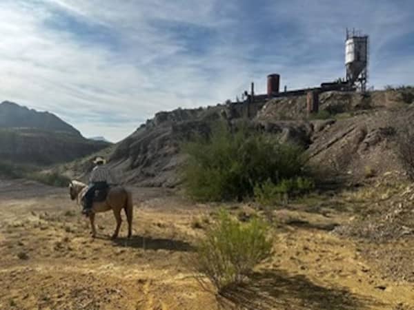 Big Bend / Lajitas Stables