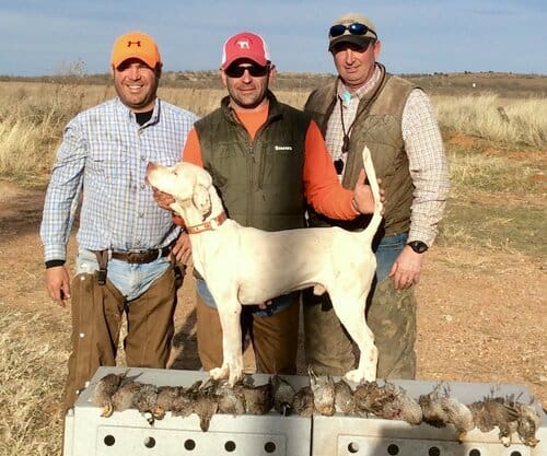 Position Wanted Seeking a Ranch Management / Plantation / Land Manager