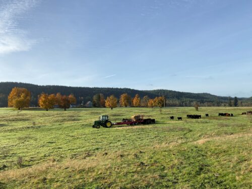 Colvin Ranch WA