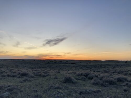 American Prairie - Montana