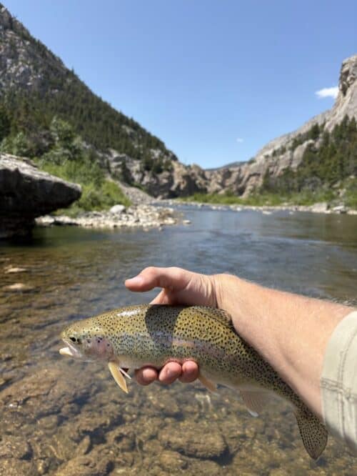 JJJ Wilderness Ranch MT