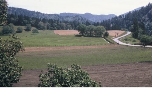 Salyer, CA Ranch