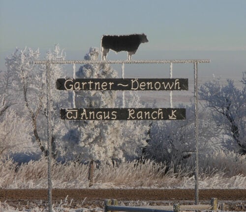Gartner-Denowh Angus Ranch Montana