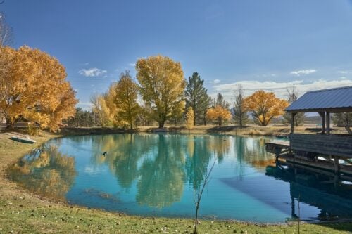 Cienega Ranch NM / AZ