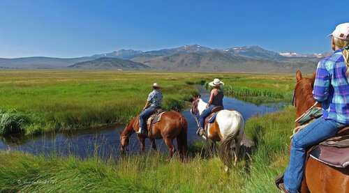 Kitchen & Cabin jobs available at California Guest Ranch