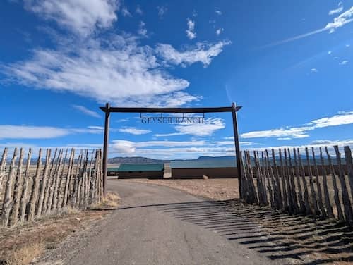 Geyser Cattle Co. NV
