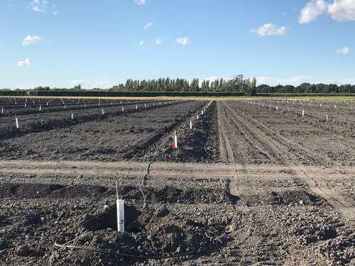 Ranch Hand / Manager Apprentice needed at NEW Pecan Orchard in