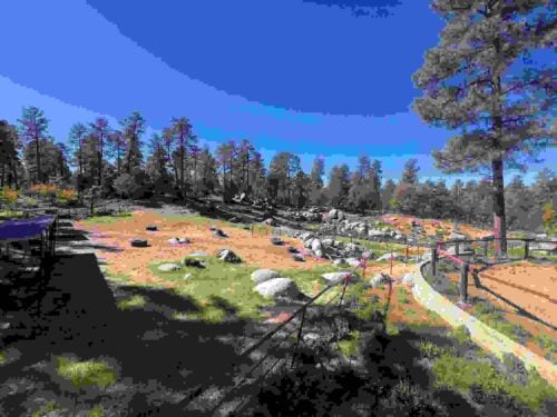 Friendly Pines Camp AZ