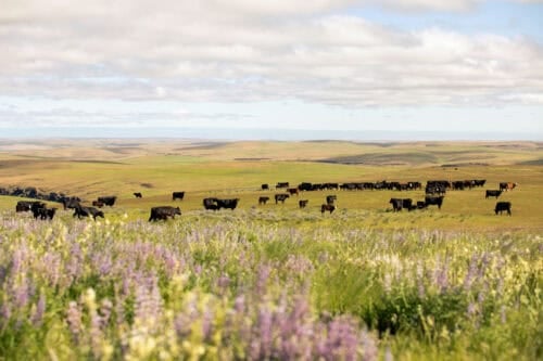 Hardie Ranches Oregon