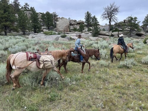 Diamond Land & Livestock WY