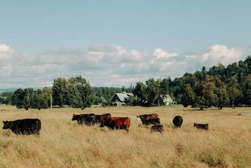 Colvin Ranch WA