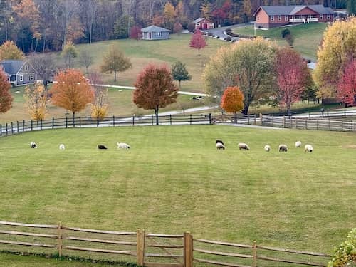 Hawks Hollow NC