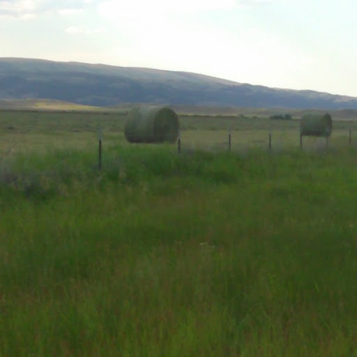 4 Diamond Ranch - Montana