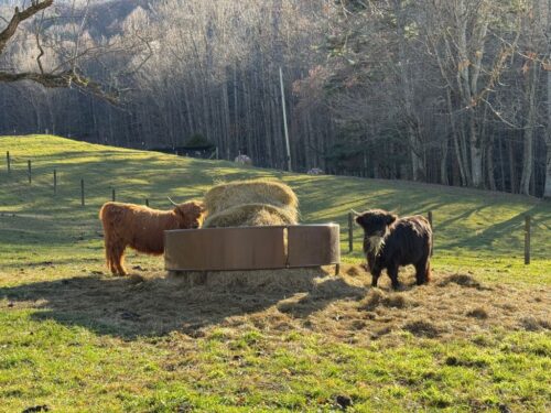Smith's Hidden Meadow Farm NC