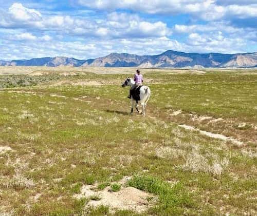 High Desert Equestrian Center - Colorado