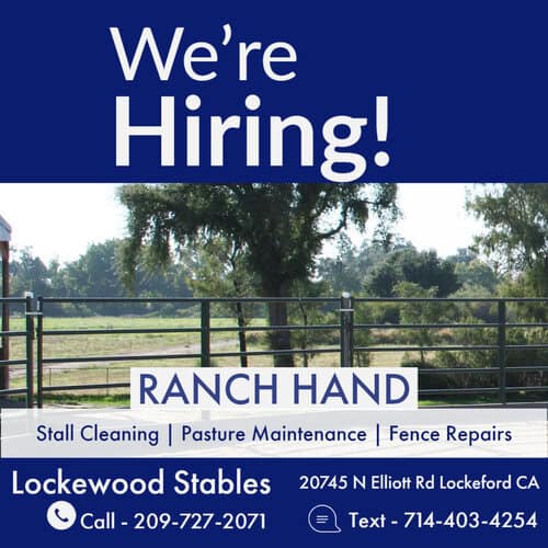 Ranch Hand at Lockewood Stables in Lockeford, California
