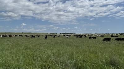Hodges Ranch and Cattle Company - Oklahoma