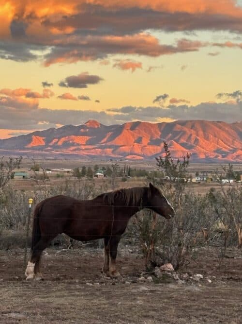Double R Guest Ranch AZ