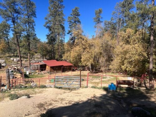 Friendly Pines Camp AZ