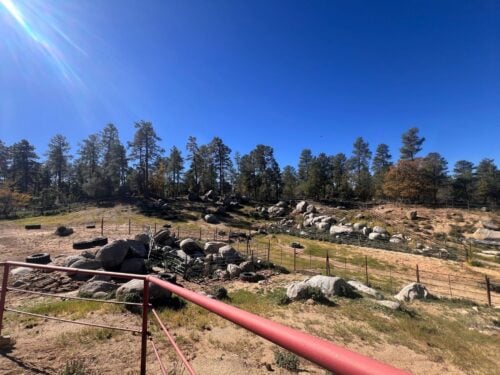 Friendly Pines Camp AZ