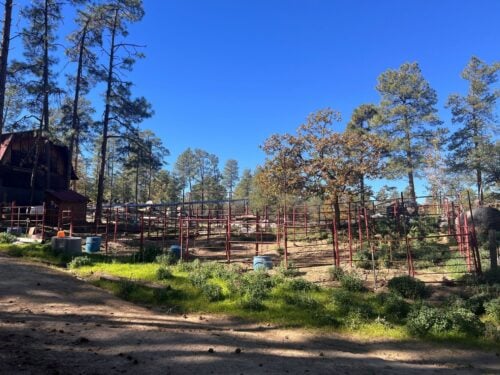 Friendly Pines Camp AZ