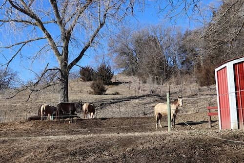Rockin' R Ranch Iowa