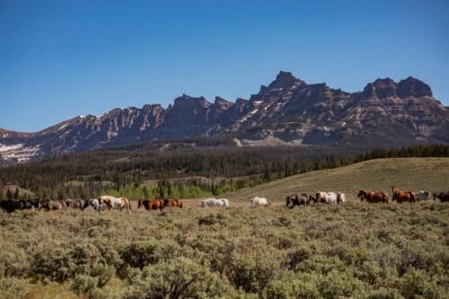 Absaroka Ranch Wyo