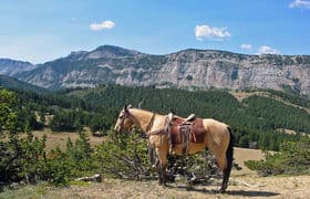 Triple J Ranch - Scenery