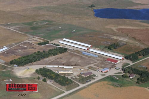 Bieber Red Angus Ranch SD