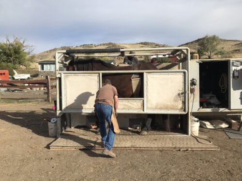 Blackfoot Horseshoeing