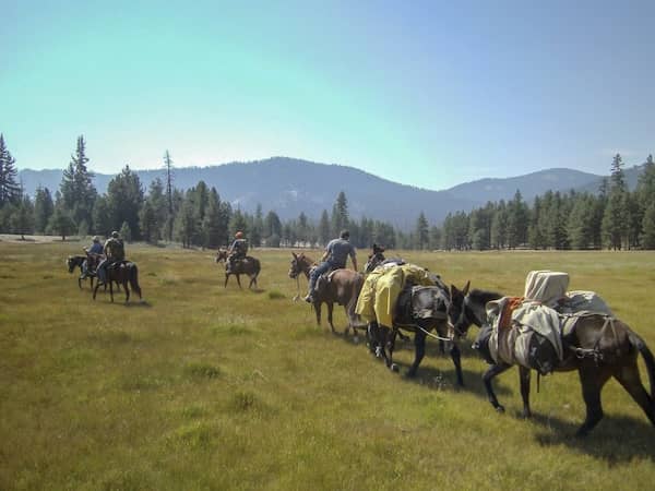 Golden Trout Wilderness Packtrains - CA