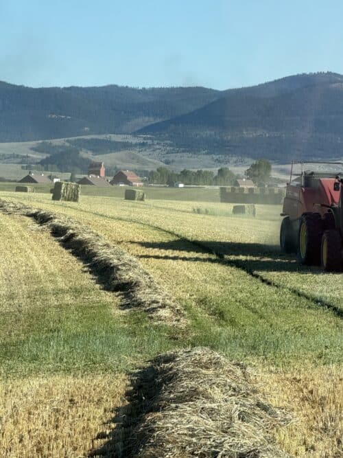 Montana Ranch