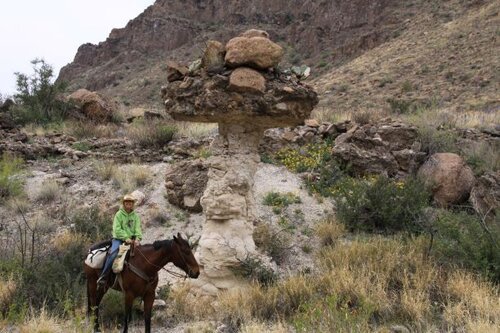 Big Bend Stables / Lajitas Stables