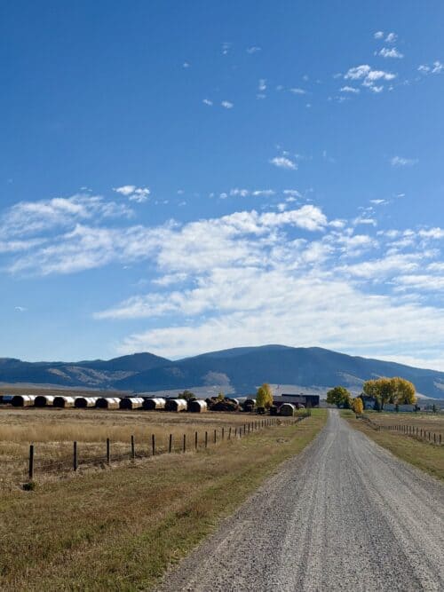 Montana Ranch