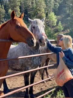 Crystal Creek Colorado