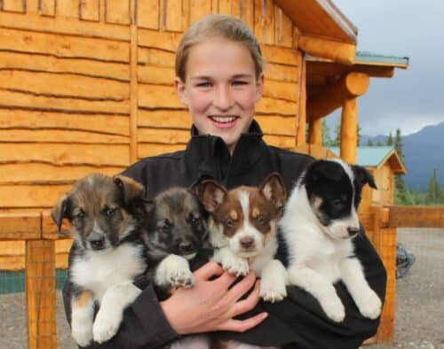 DogGoneIt Sled Dogs AK