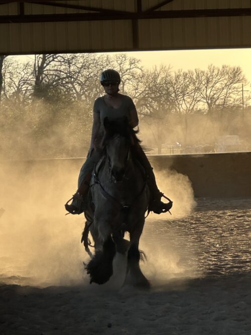 S3 Land & Cattle