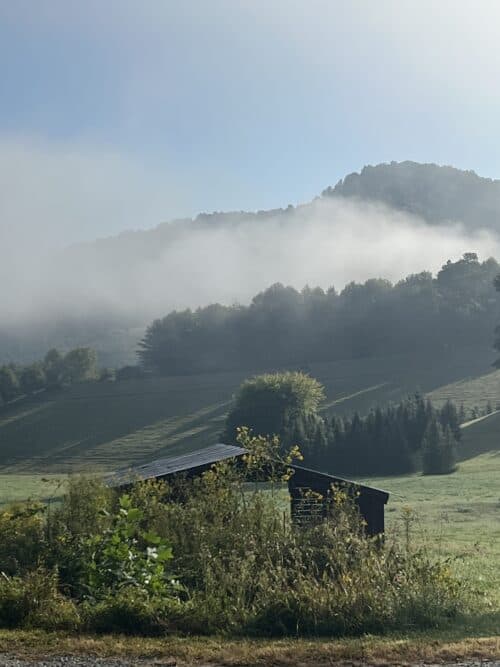 Faver Ridge Farm WNC