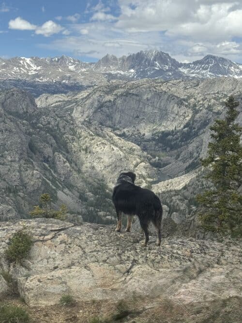 Bald Mountain Outfitters