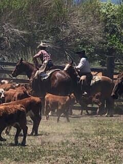 Duval Ranching C.